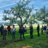 Les métiers du développement rural – Image 2
